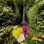 Leke Leke Waterfall Hidden Gems Bali Private Drivers