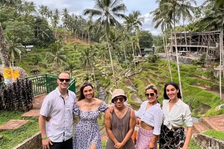 Rice Terrace Alas Harum Bali Private Drivers